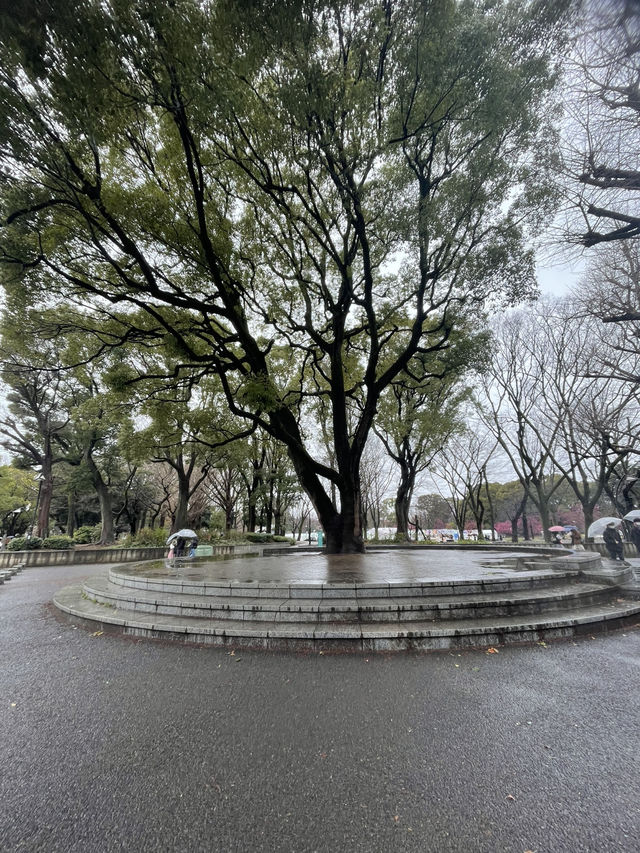 🇯🇵 Ueno Park