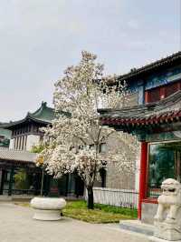 Where Emperors Sailed for Pleasure – Beijing’s 1,000-Year-Old Watercolor Comes Alive