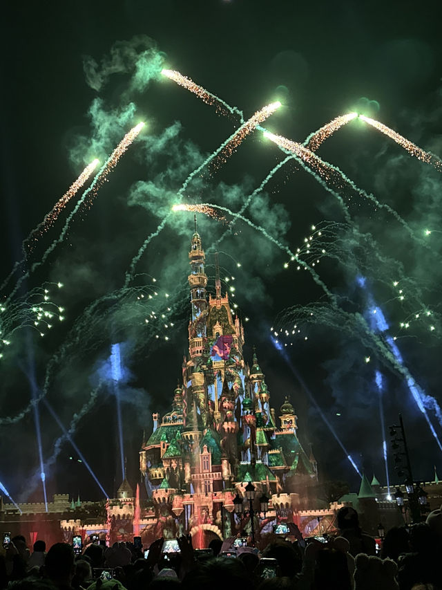 Disneyland in New Year 2025