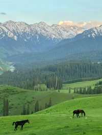 Nalati: Where Mountains Touch the Sky and Meadows Touch the Soul