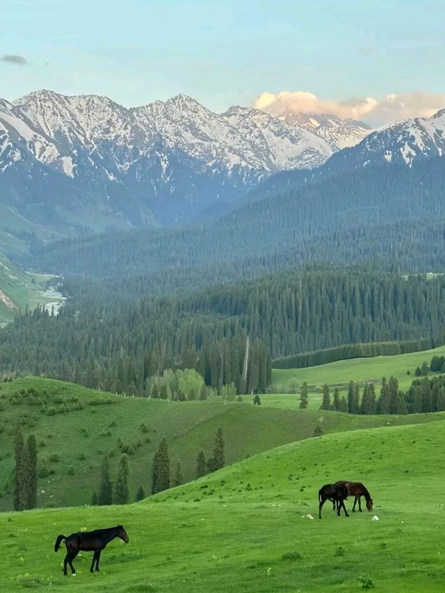 Nalati: Where Mountains Touch the Sky and Meadows Touch the Soul