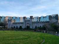 Wandering Through the Charms of Dublin City