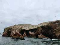 Coastal Breezes and Island Wonders of Paracas