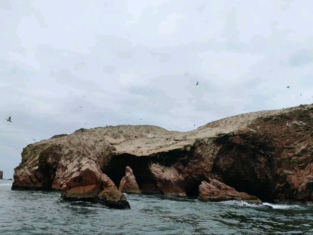 Coastal Breezes and Island Wonders of Paracas