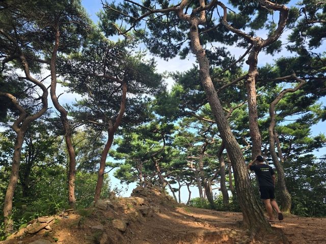 วัดจอนดึงซา ( 강화도 전등사 ) วัดจอนดึงซา ( 강화도 전등사 )