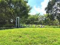 深圳｜香蜜公園