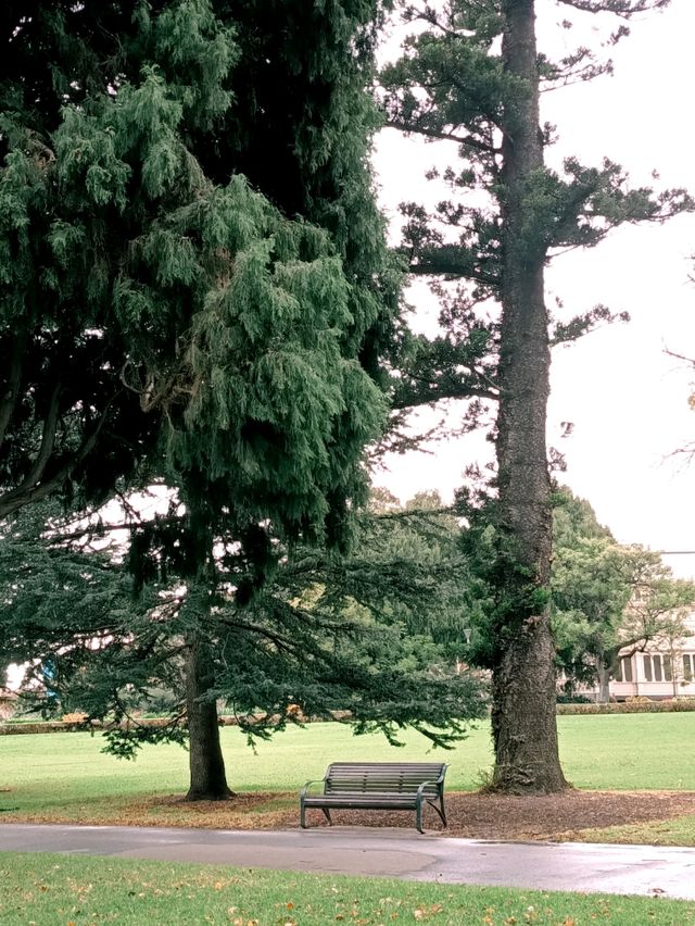 Winter Walk Through Carlton Gardens – A Peaceful Melbourne Escape