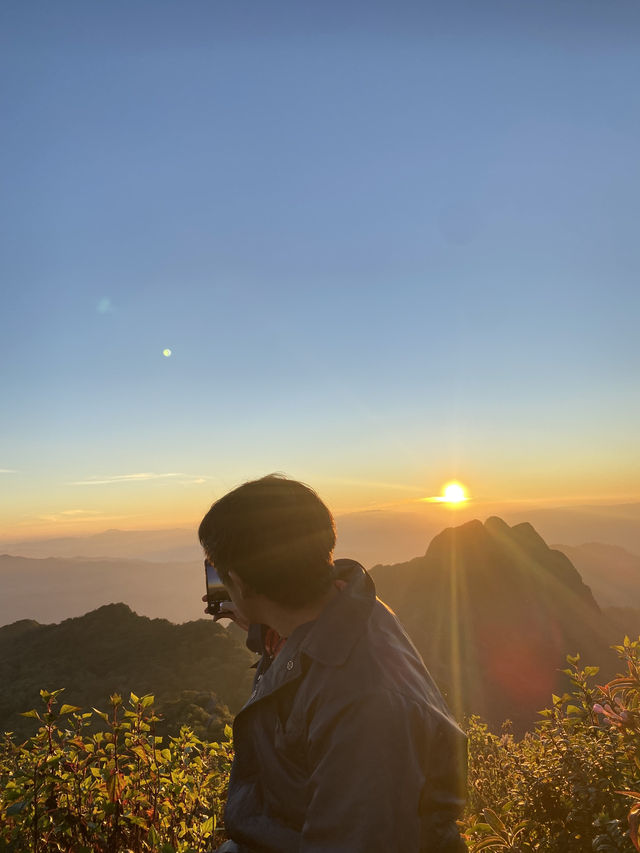 เดินป่า ศึกษาธรรมชาติ ดอยหลวงเชียงดาว ⛰️⭐️