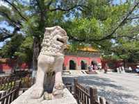 來一趟中國東北重點都市要安排幾天呢?行程分享