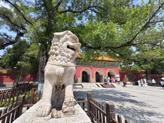 來一趟中國東北重點都市要安排幾天呢?行程分享 來一趟中國東北重點都市要安排幾天呢?行程分享