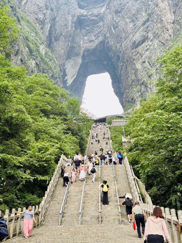 ⛰️ 天門山國家森林公園:天空之門的壯麗奇景 ⛰️ 天門山國家森林公園:天空之門的壯麗奇景