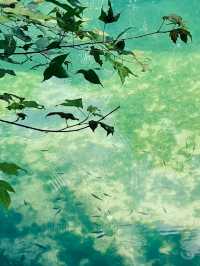 Karst Kingdom: The Wild Beauty of Libo