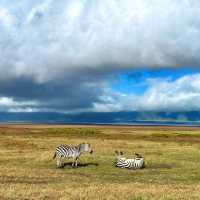 Ngorongoro Crater – A Surreal Safari Paradise