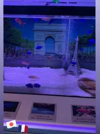 長岡花火の翌日に寄り道！癒しのうみがたり水族館❤️