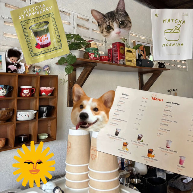 💖🏡 Fourteen. home cafe Rayong✨🍵🥕