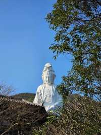 Tsz shan monastery สถานที่ไม่ควรพลาดในฮ่องกง