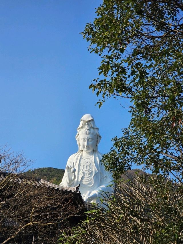 Tsz shan monastery สถานที่ไม่ควรพลาดในฮ่องกง