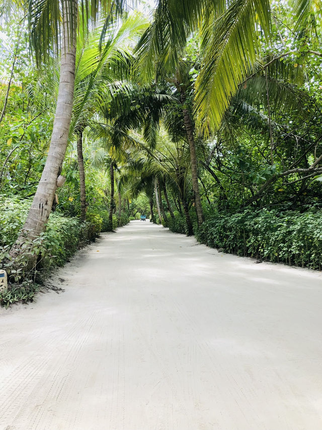 Maldives 🇲🇻 Resort | OBLU NATURE HELENGELI