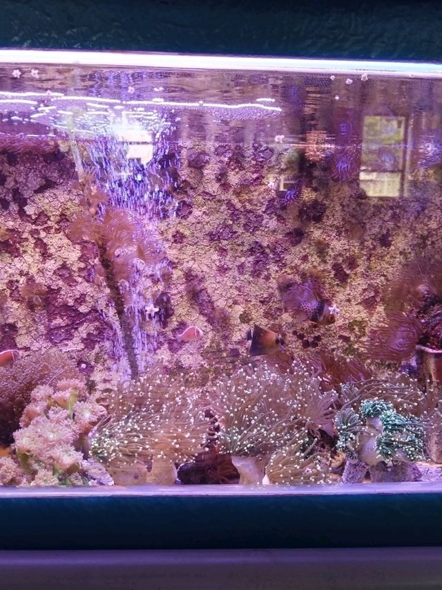 需提前預約的屏東海生館後場參訪！