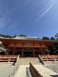 勝尾寺達摩