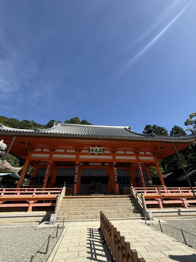 勝尾寺達摩