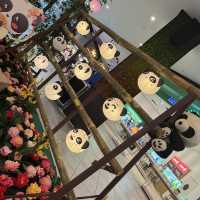 Panda Up Close🐼 & Celebratory Mid-Autumn Lantern Festival