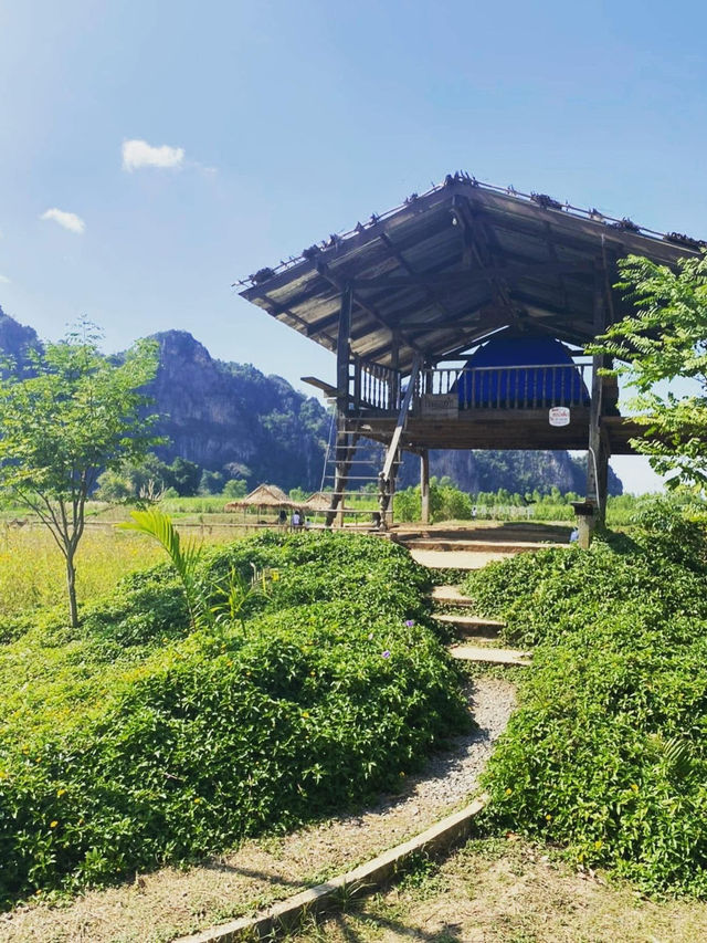 สโลวไลฟ์ที่ บ้านมุง เนินมะปราง🌲