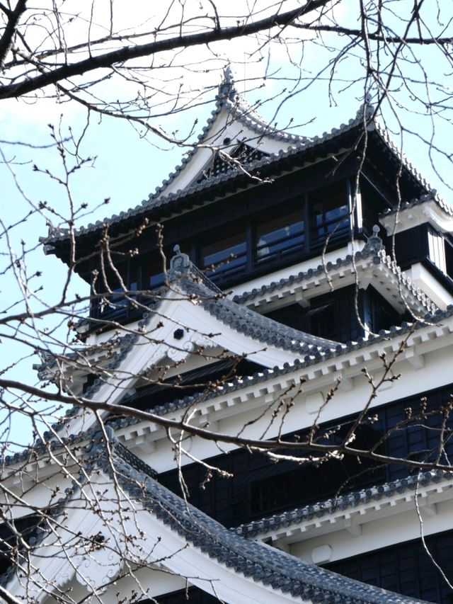 🏯: Kumamoto Castle เที่ยวฟุกุโอกะ ญี่ปุ่น