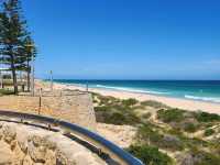 Sea Breeze Cheers🌊