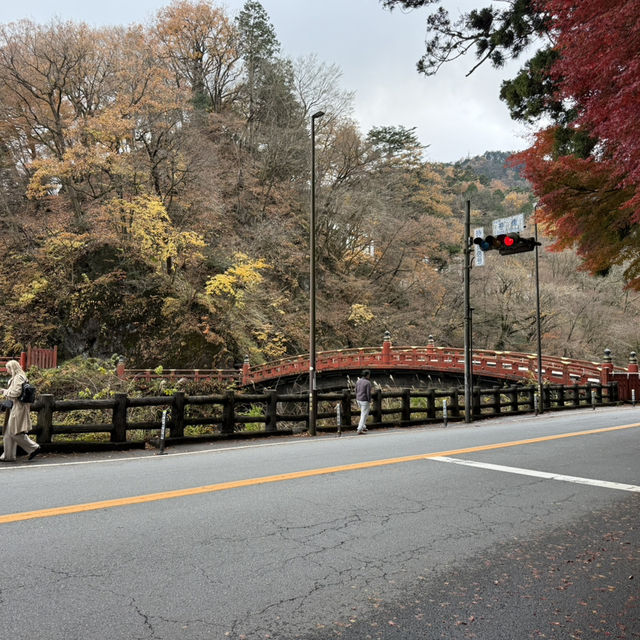 Shinkyō Bridge - Nikko ⛩️🌉