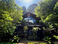 Into the forest Krabi