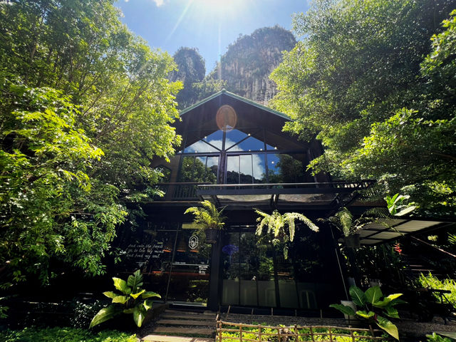 Into the forest Krabi