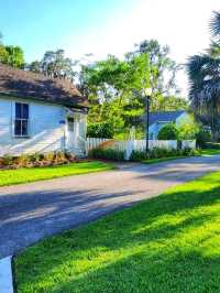 🌸 “Harry P. Leu Gardens – Orlando’s Blooming Paradise!”