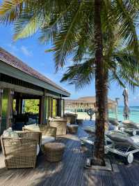🐬 Oceanfront Lunch Bliss in the Maldives