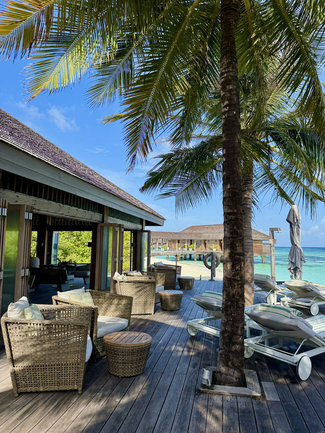 🐬 Oceanfront Lunch Bliss in the Maldives
