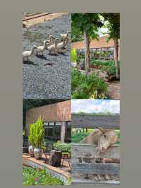 Growth : Farm and Bistro คาเฟ่เชียงแสนเชียงราย