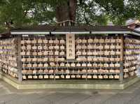 Meiji Jingu