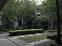 Tamarind Square
