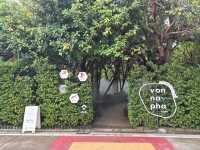 วอนนภา คาเฟ่ ชลบุรี: หลุดไปในป่าลับแลสุดร่มรื่น