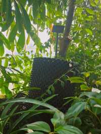 영국 런던 여행 필수 코스! 영국 큐 왕립 식물원