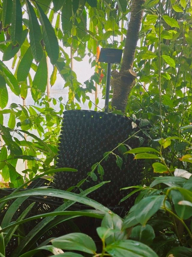 영국 런던 여행 필수 코스! 영국 큐 왕립 식물원