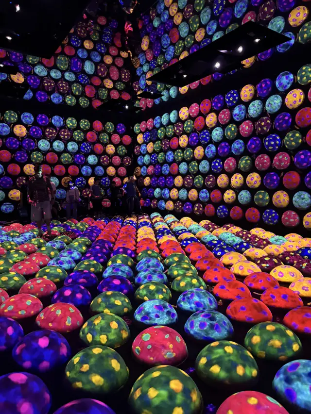 TeamLab Wonder🖼️