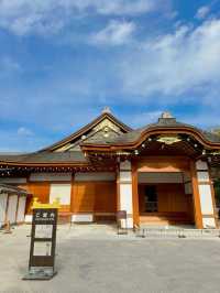 Nagoya Castle 🇯🇵 ปราสาทนาโกย่า