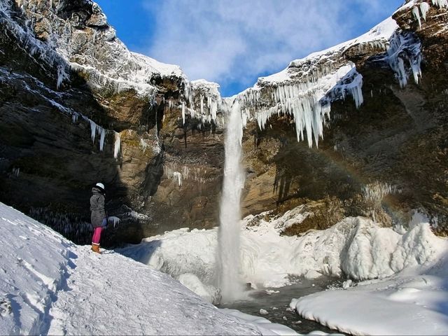 “The Floating Jewels of Iceland”