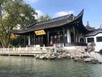 Yangzhou Gem🌳