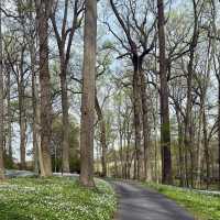 Winterthur Museum, Garden & Library