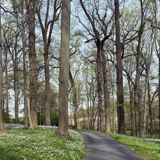 Winterthur Museum, Garden & Library