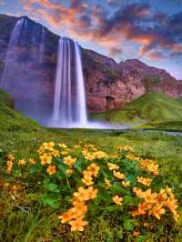 “The Curtain of Light”