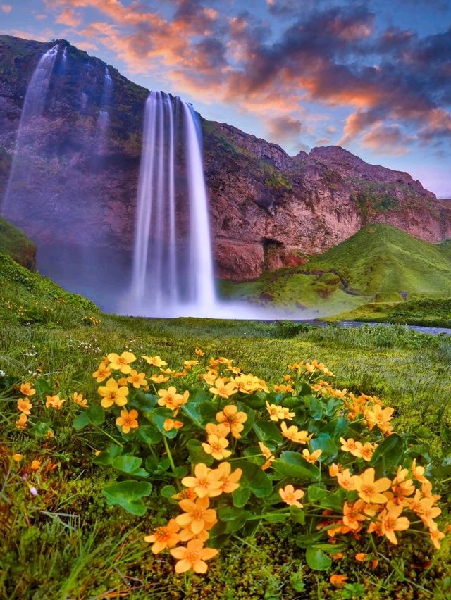 “The Curtain of Light” “The Curtain of Light”