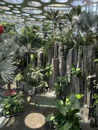 在上海城市裡的祕密仙境 🌈🌺 